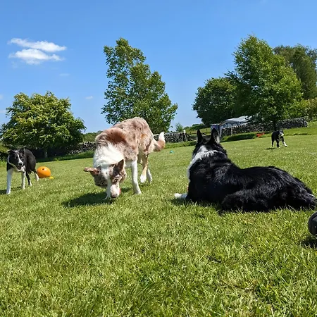 Brackenthwaite Farm * Beetham