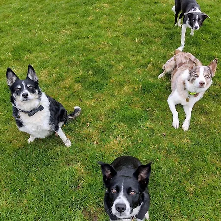 Brackenthwaite Farm Holiday home *