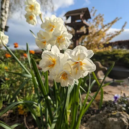 Brackenthwaite Farm Holiday home Beetham