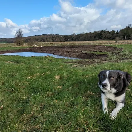 Brackenthwaite Farm Holiday home