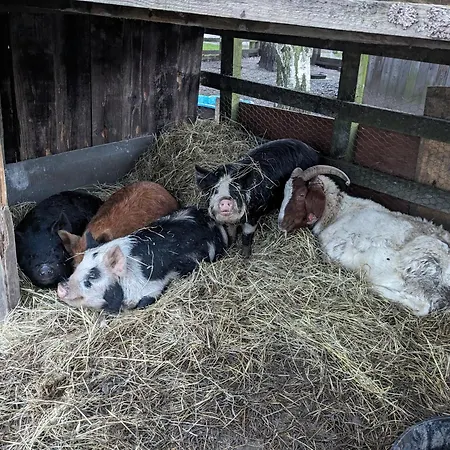Semesterbostad Brackenthwaite Farm