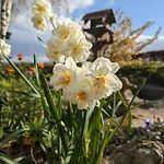Brackenthwaite Farm Holiday home Beetham