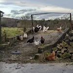 Brackenthwaite Farm